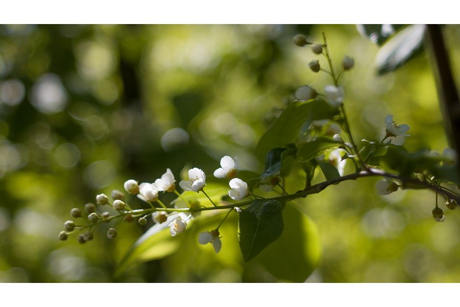 Супер макро Индустар-61Л/З 2.8/50 для Nikon