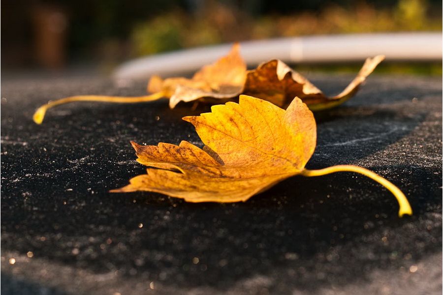 Зенитар М2s 2/50мм для Canon EOS