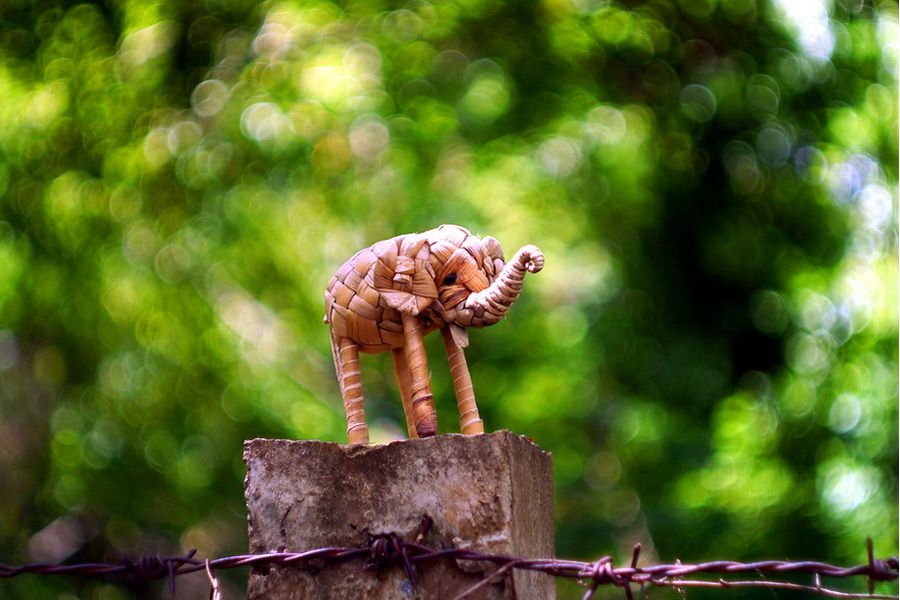 Зенитар М2s 2/50мм для Canon EOS