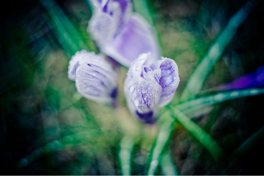 Helios-44M-4 2/58 for Canon EOS (1988г. в. б/у)