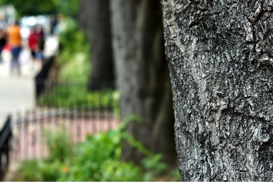 Индустар-61Л/Д f2.8/55mm для Sony Nex