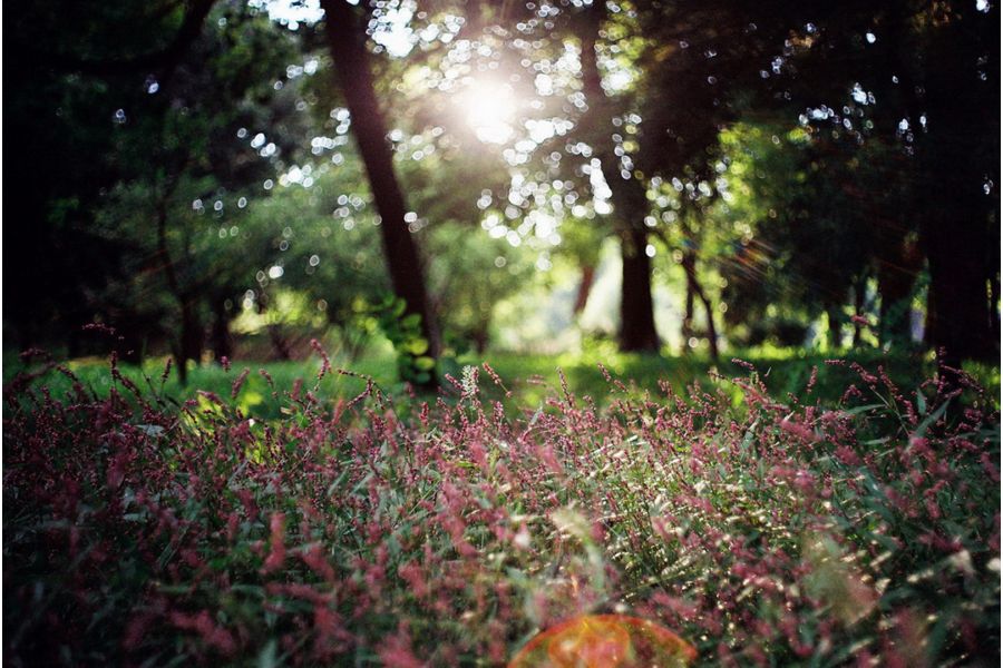 Ширик Мир-1В 2.8/37 для Canon EOS