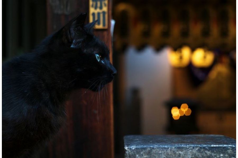 Новый Гелиос 44М-4 f2/58mm для Nikon