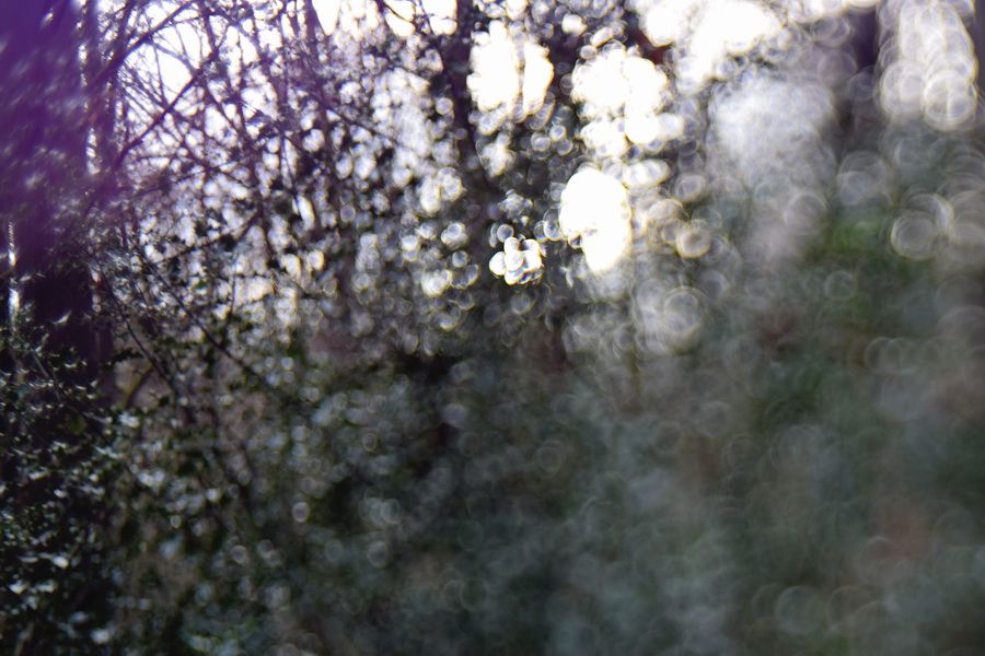 Helios-44M 2/58 для Canon EOS