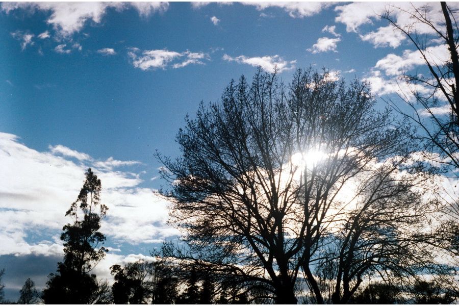 MC Гелиос-44М-5 2/58 для Sony Nex / (Sony E)