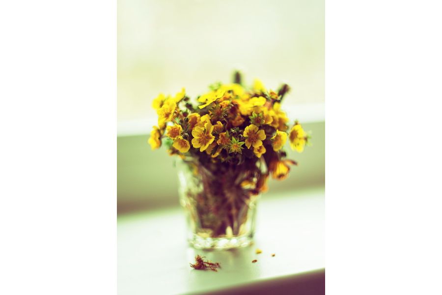 Helios-44-2 2/58mm для Nikon F