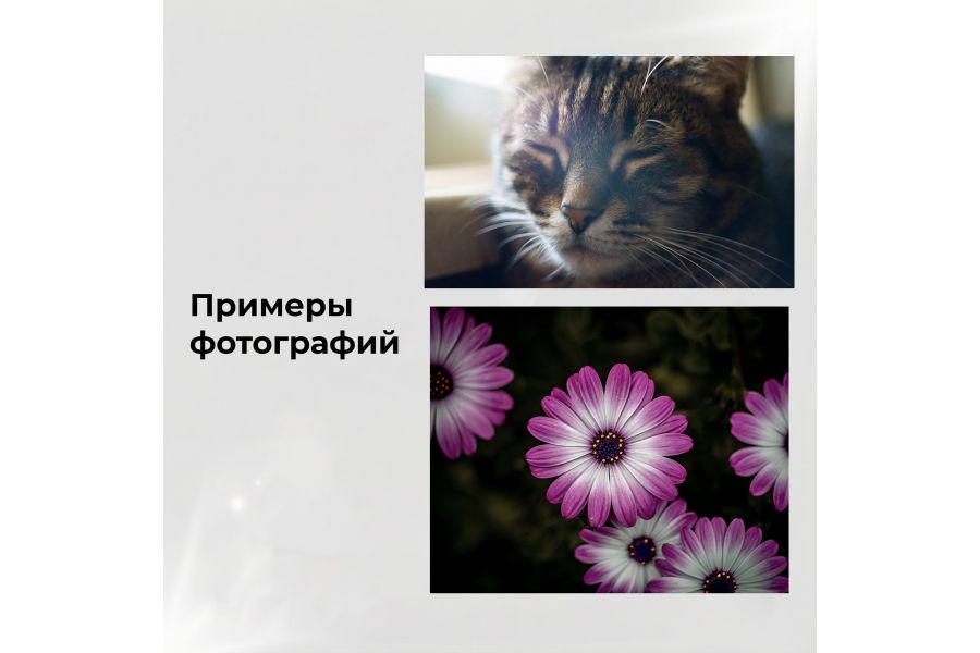 Объектив Tessar 2.8/50 Carl Zeiss Jena silver М42