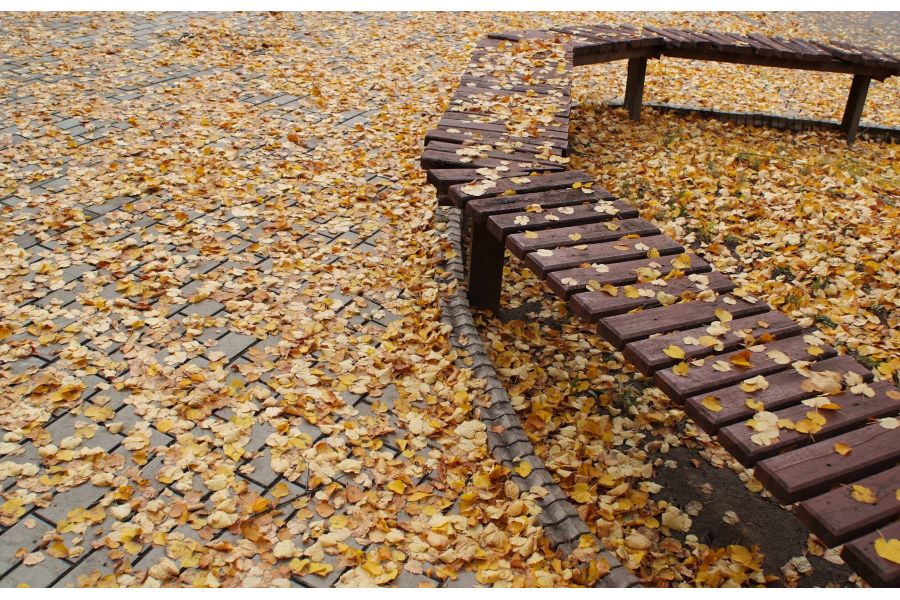 Широкоугольный объектив Nikon 20mm f/2.8 AF Nikkor