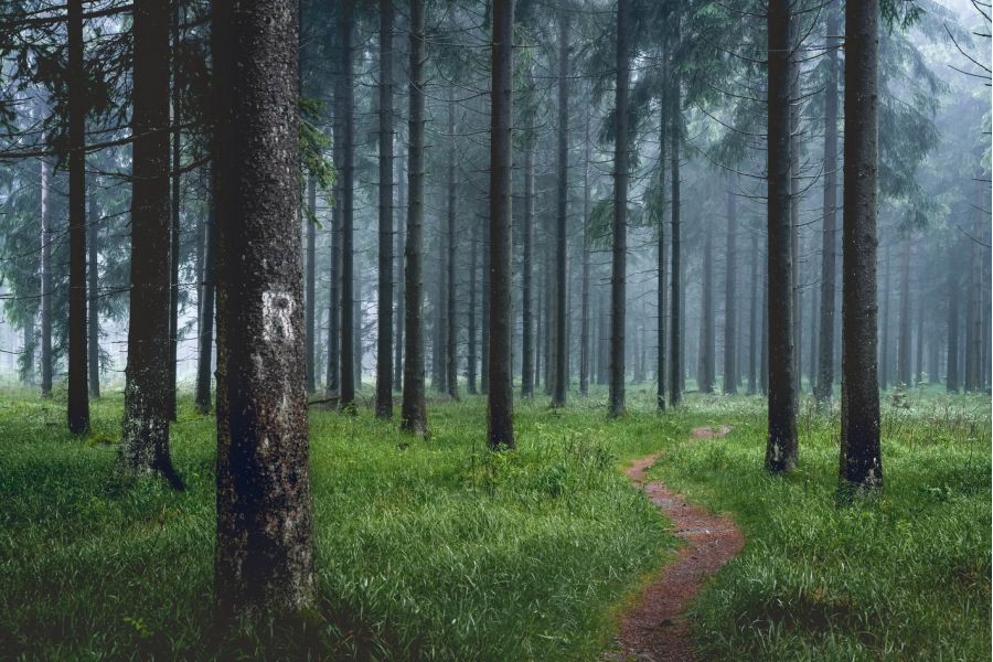 Объектив Tamron SP AF 28-75mm f/2.8 XR Di LD Aspherical (IF) (A09) Sony A