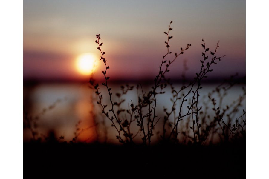 Mamiya - Sekor Z 250mm f/4.5 W