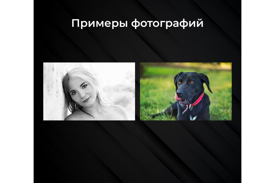 Объектив автофокусный Canon EF 50mm f/1.8 STM