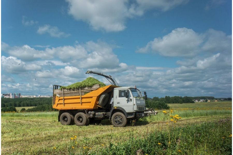 Sony 2.8/16mm SEL16F28 (Thailand, 2016)