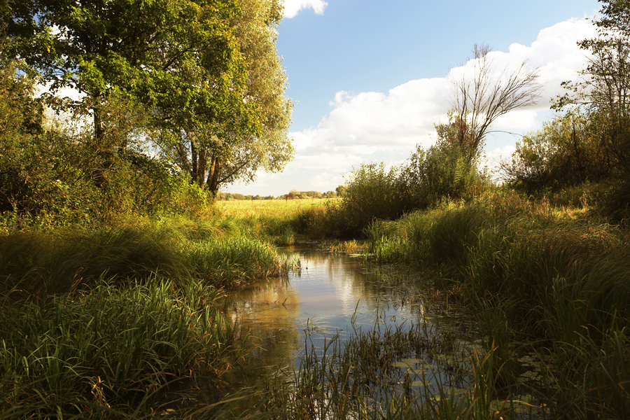 Flektogon auto 2.4/35 MC Carl Zeiss Jena DDR