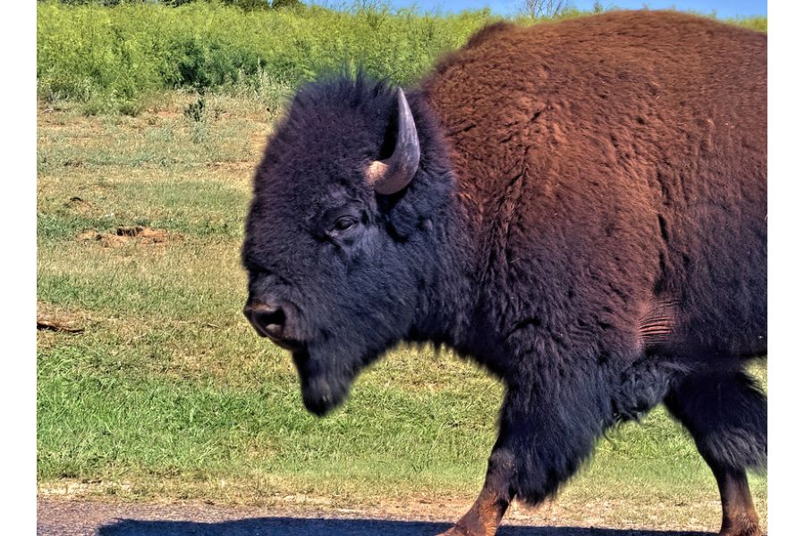 Olympus M.Zuiko Digital 75-300mm f/4.8-6.7 ED II MSC в упаковке