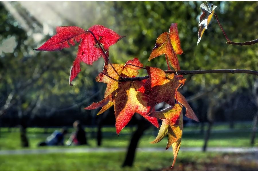 Объектив Nikon 28-100mm 3.5-5.6G AF Nikkor