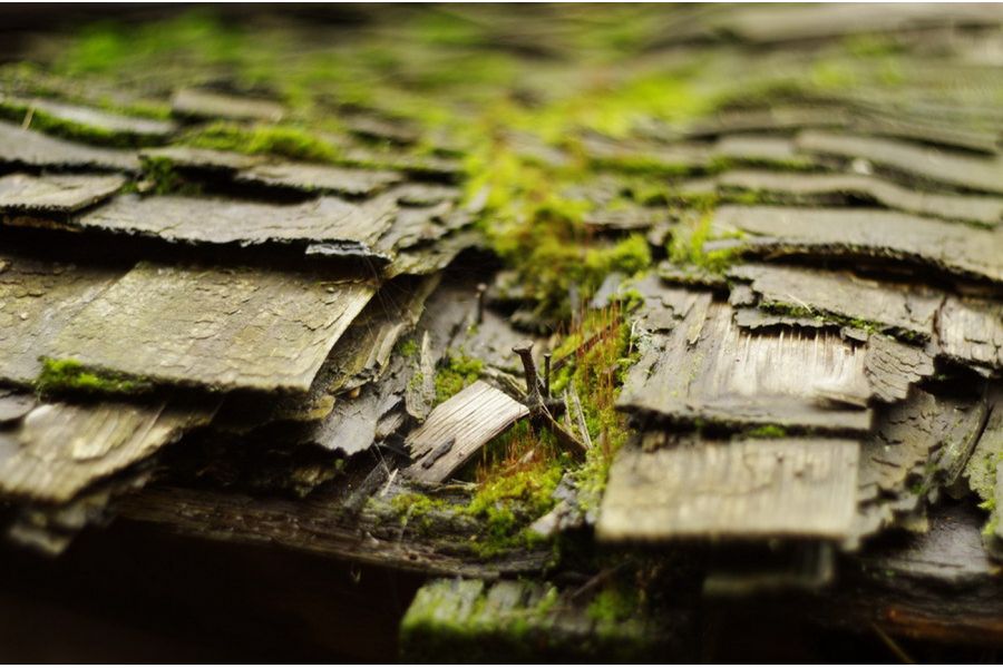 Мануальный Minolta Auto Rokkor-PF 55mm f/1.8