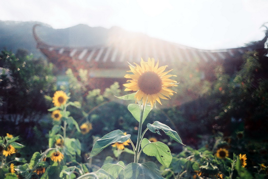 Юпитер-12 / Jupiter-12 2.8/35 М39 black (СССР, 1981)