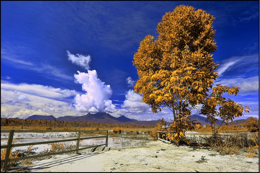 Цифровой Canon EF-S 10-22mm f/3.5-4.5 USM