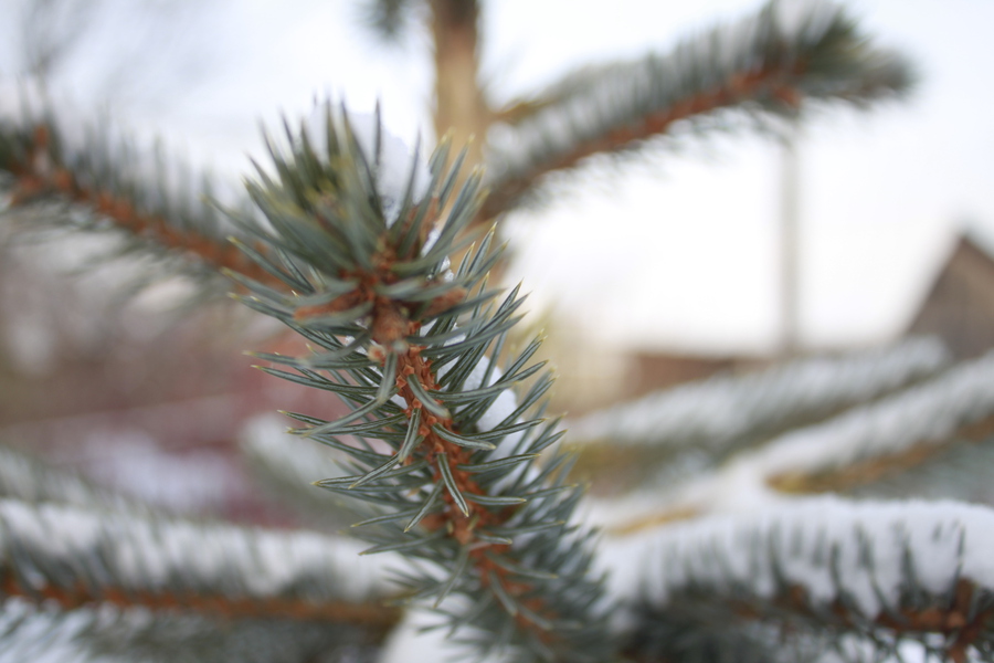 Автофокусный Canon EF-S 18-55mm 3.5-5.6 III