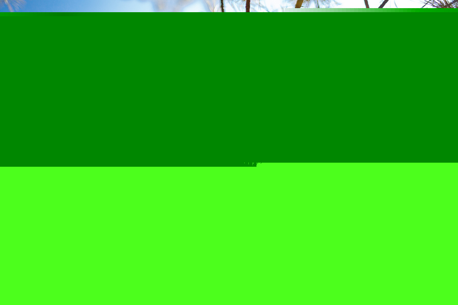 Sigma AF 35mm f/1.4 DG HSM Art Nikon F в упаковке