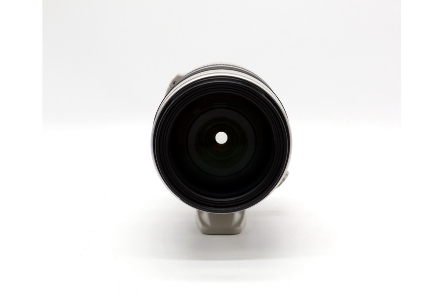 Цифровой Canon EF 28-300mm f/3.5-5.6L IS USM