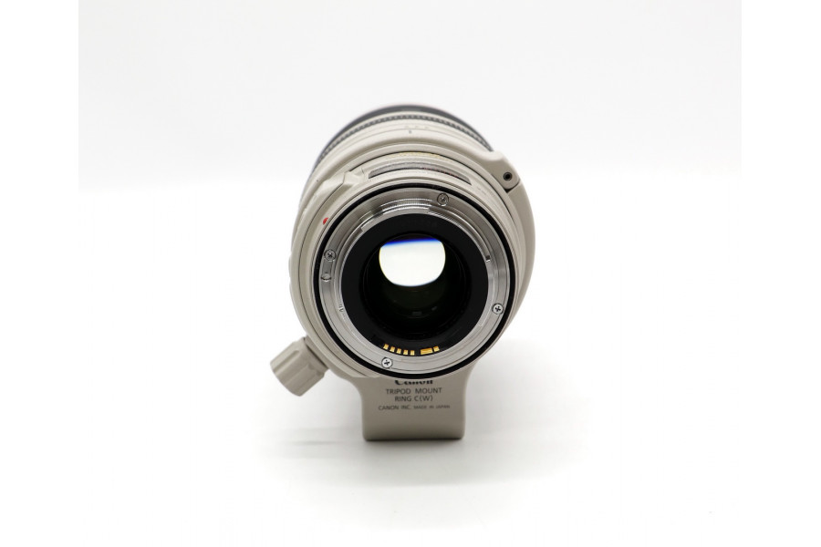 Цифровой Canon EF 28-300mm f/3.5-5.6L IS USM