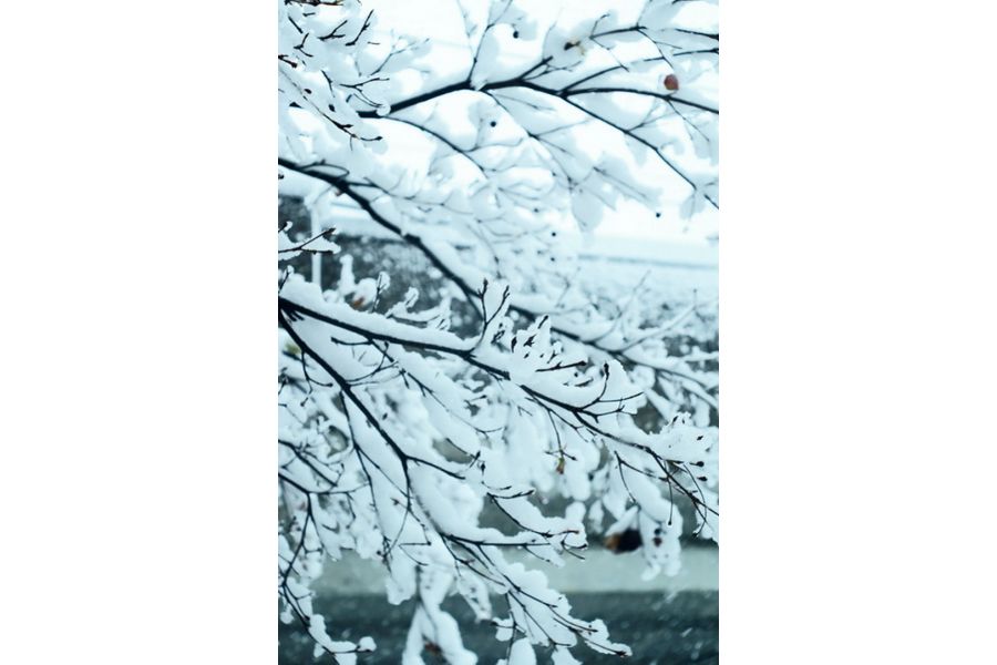 Мир-1В 2,8/37 для Micro 4/3