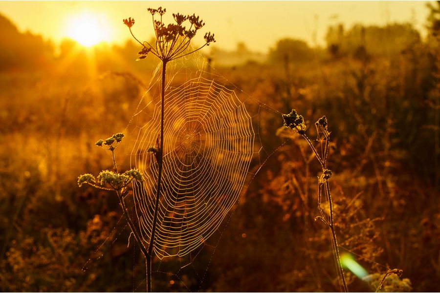 Гелиос-77М МС 1.8/50 для Fujifilm FX