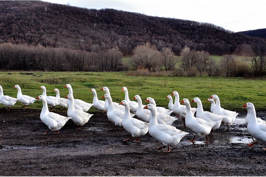 Мир-10А 3,5/28 для Canon EOS