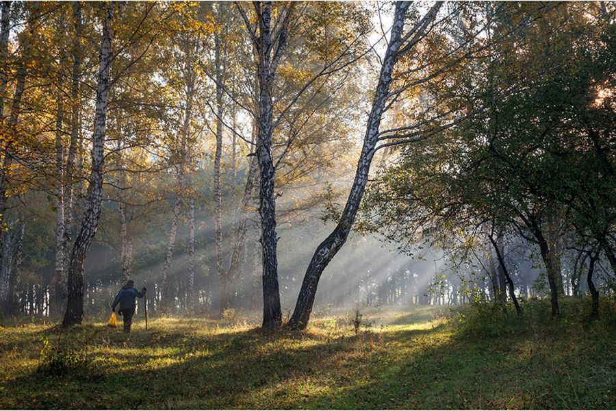 Мир-1Ш 2,8/37 для Canon EOS