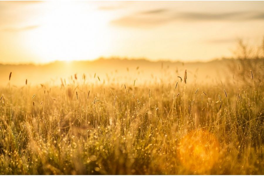 Зенитар-М 1.7/50 для Sony Nex