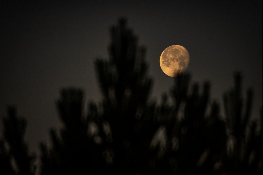 ЗМ-5А 8/500 для Canon EOS