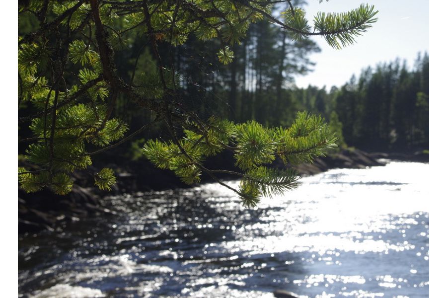 Объектив Pentax-DA SMC 16-45mm f/4 ED AL