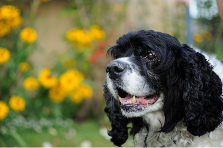 Объектив Nikon 35mm f/1.8G AF-S DX Nikkor