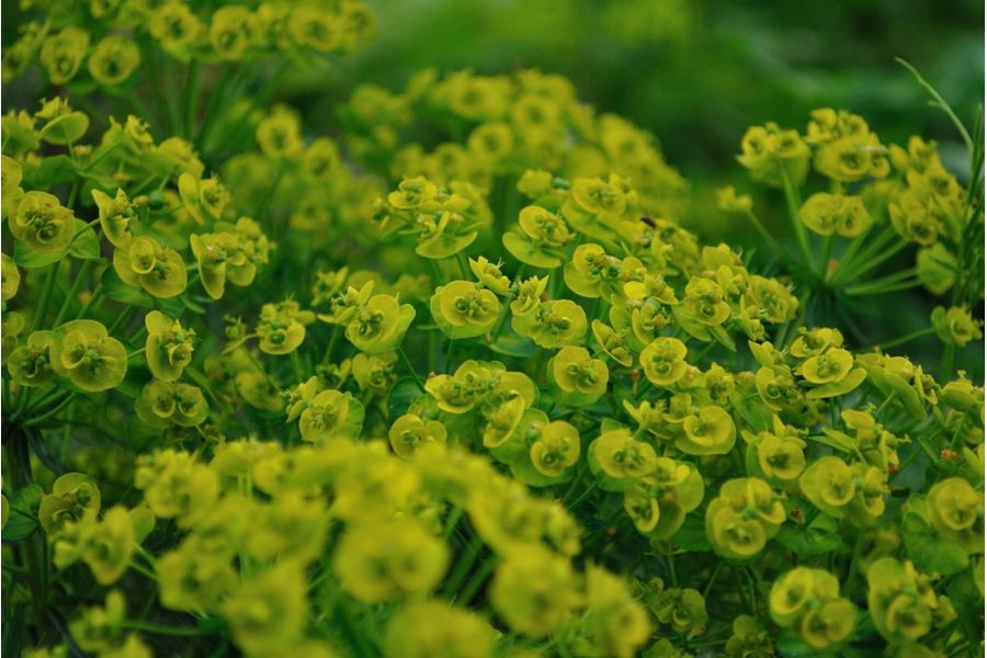 Объектив Nikon 18-55mm f /3.5-5.6G AF-S VR DX Nikkor 