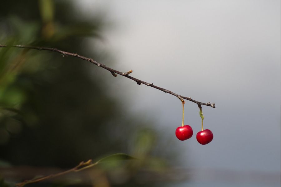 Объектив мануальный Телемар-22 5,6/200 (№006633)