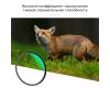 Светофильтр K&F Concept MC-UV Slim Green Multi-coated 62mm