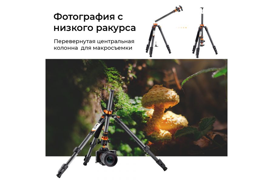 Штатив K&F Concept D254C1 + BH-28L KF09.109