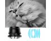 Объектив TTartisan 35mm F1.4 APS-C for Micro 4/3