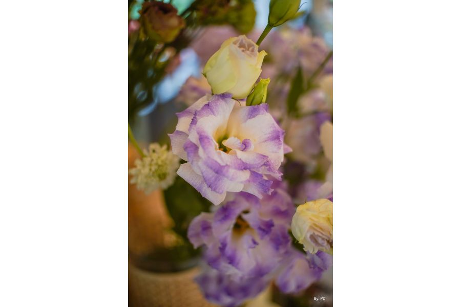 TTartisan 25mm f/2 APS-C для Sony E