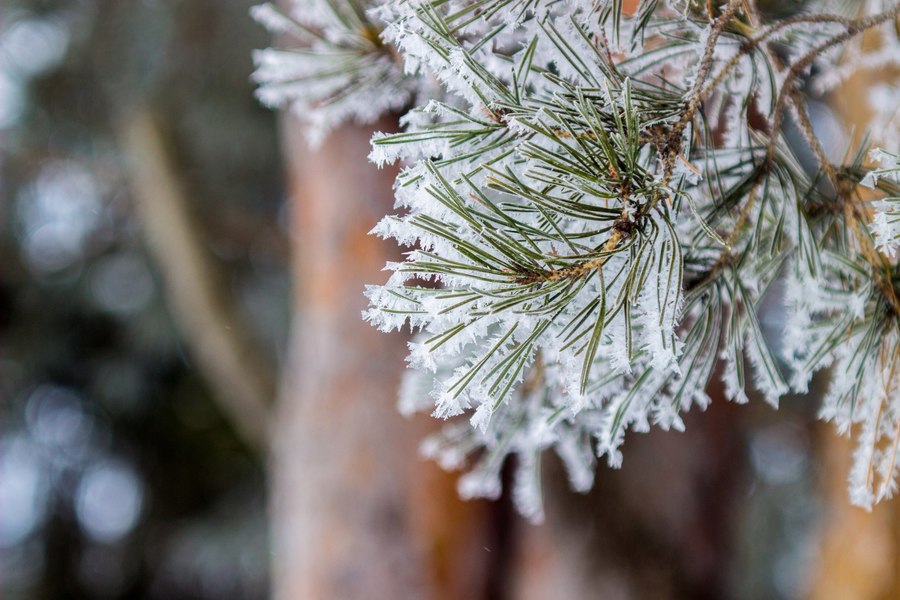 Советский объектив Вега-5У 105mm f/4 ММЗ