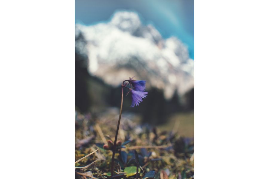 Объектив 7Artisans 25mm F1.8 Sony Nex E-Mount