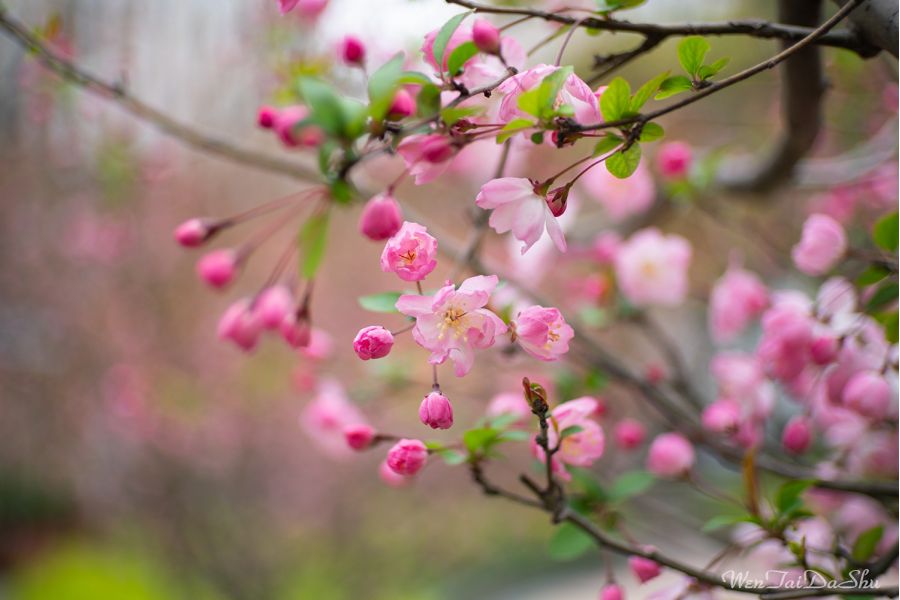 Объектив 7Artisans 35mm F1.4 для Sony E-mount