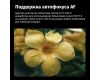 Автофокусный адаптер 7Artisans Canon EF-Canon RF