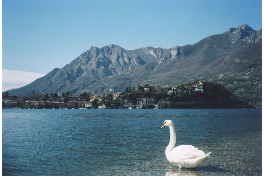 Винтажная компактная фотокамера Yashica MF-2 Super (China)