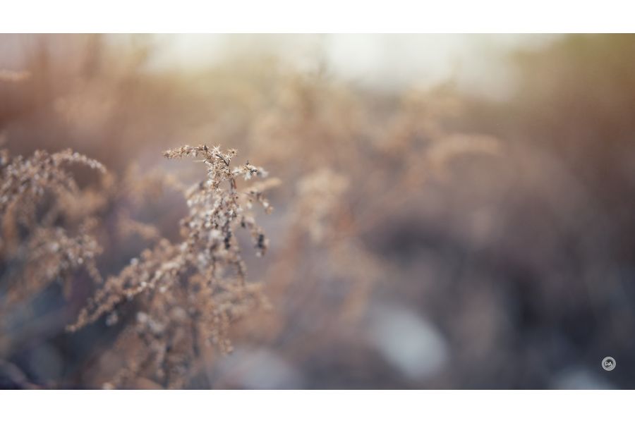 Объектив 7Artisans 50mm F1.8 AF Nikon Z Автофокус