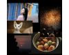 Объектив 7Artisans 50mm F1.8 AF Nikon Z Автофокус