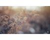 Объектив 7Artisans 50mm F1.8 AF Nikon Z Автофокус