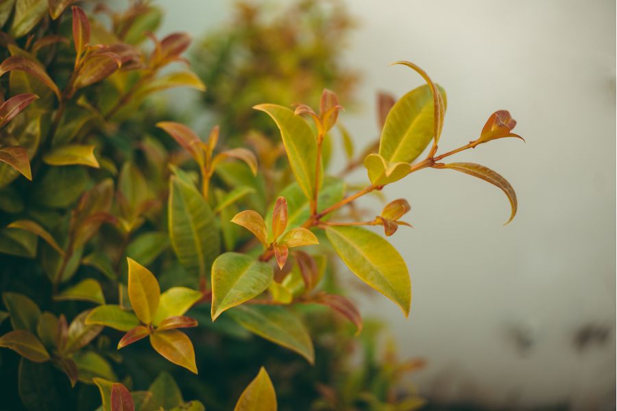 Объектив 7Artisans 27mm F2.8 AF Sony E Автофокус