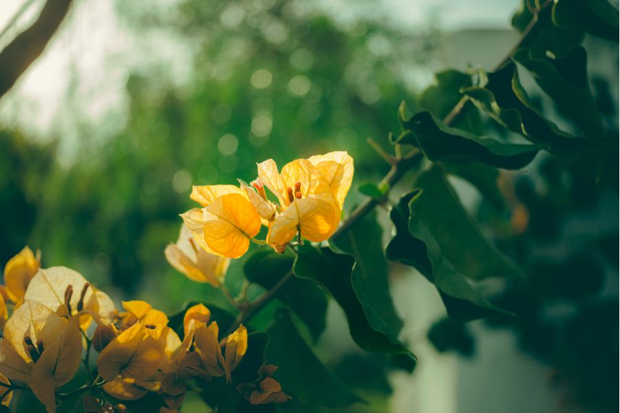 Объектив 7Artisans 27mm F2.8 AF Sony E Автофокус